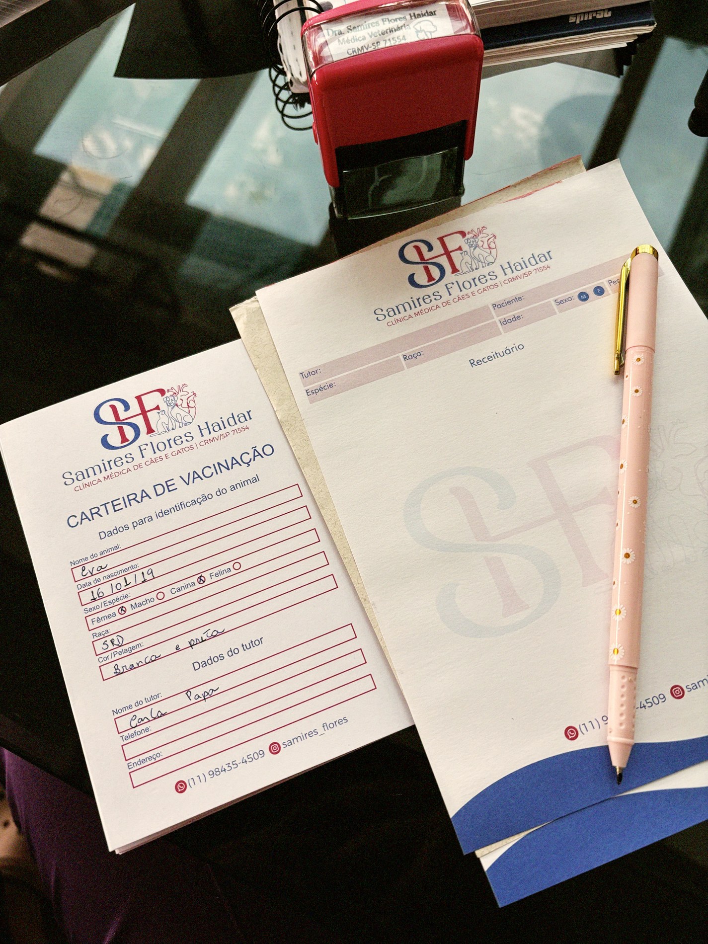 Materiais de atendimento veterinário da Samires